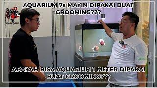 AQUARIUM 7s MAYIN DI PAKAI BUAT GROOMING??? APAKAH BISA AQUARIUM 1 METER DI PAKE GROOMING???