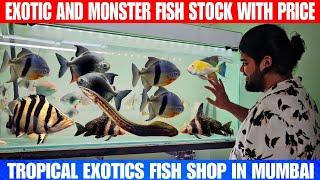 Exotic And Monster Fish Stock With Price | At Tropical Exotics In Mumbai