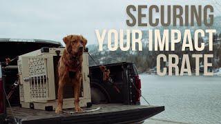 How To Secure Your Impact Dog Crate In A Truck Bed