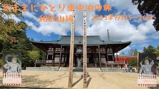 【気ままにひとり旅】高野山の空気は凛としていた！車中泊の旅　和歌山編　2023年9月25～26日　#ひとり旅 #車中泊 #和歌山 #高野山 #熊野那智大社 #那智の滝 #熊野速玉大社