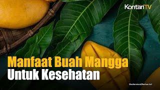 Selain Sumber Vitamin C, Ini Manfaat Buah Mangga untuk Kesehatan | Kontan News