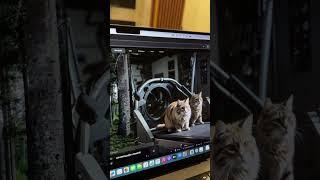 Create Stunning Visuals in Seconds with AI Realtime Image Generation