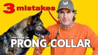 Prong Collar Mistakes People Make with German Shepherds - Robert Cabral Dog Training Video