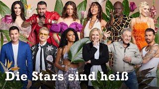 Kandidaten-Check: Wie ticken die Stars? | Dschungelcamp 2023