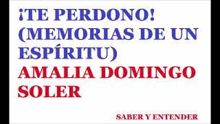 8ª y Última parte.  TE PERDONO MEMORIAS DE UN ESPÍRITU AMALIA DOMINGO SOLER #audio  #espiritismo