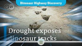 Unveiling the Dinosaur Highway: A 166 Million-Year-Old Discovery in England