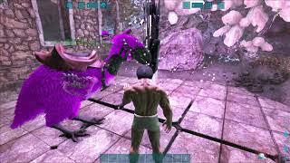 ARK  Survival Evolved Artifact of Devourer Quick Run  The Island Map