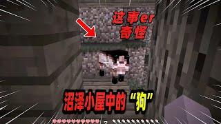 Minecraft我的世界诡异事件：沼泽小屋内没有女巫，却有一条奇怪的狗！