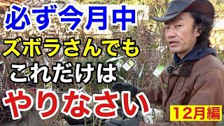 【寒くてもやる事】12月になったら必ずやって欲しい植物管理教えます　　　　　【カーメン君】【園芸】【ガーデニング】【初心者】