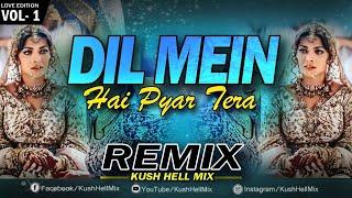 Dil mein hai pyar tera Hoton pe | Remix | Kush Hell Mix | Udit Narayan | Alka Yagnik | Sunny Deol