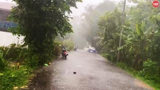 Windy and Thundering Rain-Walking through My Small Village @Local Looks