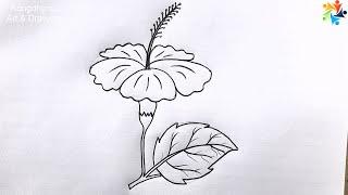 How to draw Hibiscus Flower || Joba Ful Akar Sohoj Koushol || Technique