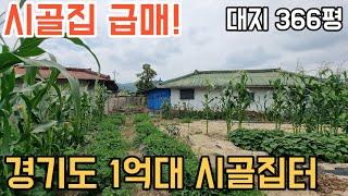 [180] 경기도 시골집 건축 가능 366평 토지 1억대 급매물! 바로 집어가셔도 됩니다