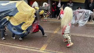 Gokayama Japan Spring Festival Dragon