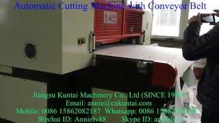 Automatic Cutting Machine with Conveyor Belt