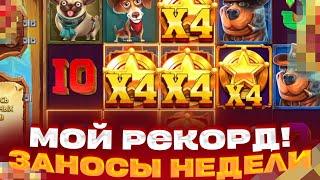 МОЙ РЕКОРД! В DOG HOUSE DOG OR ALIVE ЗАНОСЫ НЕДЕЛИ