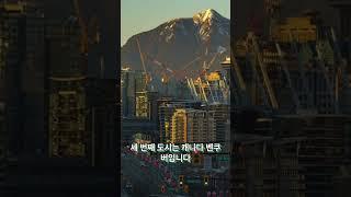 세계에서 가장 살기 좋은 도시 5개