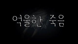 [80 스튜디오] 어느 외과 의사가 겪은 이야기 [억울한 죽음 리메이크]