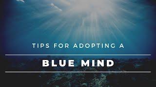 How to Get the Benefits of a Blue Mind