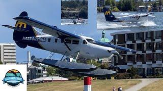 Chaos at Victoria Harbour! Wayward Sailboat Invades Runway - Seaplane Drama Unfolds!