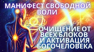  МАНИФЕСТ СВОБОДНОЙ ВОЛИ ОЧИЩЕНИЕ ОТ ВСЕХ БЛОКОВ И АКТИВАЦИЯ БОГОЧЕЛОВЕКА / ВРАТА ЛЬВА / ЧЕННЕЛИНГ