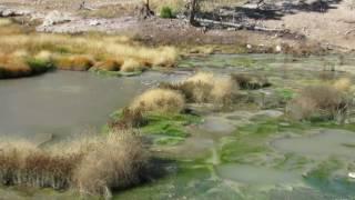 Mud Volcano area in Yellowstone