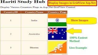 Display Images in GridView from Database in Asp.Net C# | English | Online Learning Classes