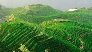 Mush Panjwani Travels: China - The Awesome Rice Terraces in Longsheng