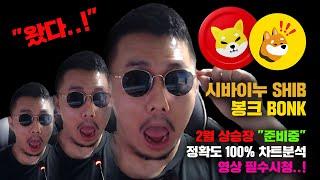 시바이누 SHIB 봉크 BONK [긴급] 2월 상승장 "준비해야됨" 정확도 100% 차트분석, 영상 필수시청..! #코인시황