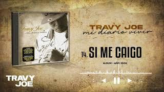 14. Si Me Caigo | Travy Joe (Álbum: Mi Diario Vivir • 2006)