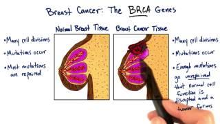 BRCA1 - Tales from the Genome