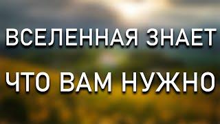 Вселенная знает, что вам нужно