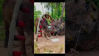 Best Scary Animal Traps