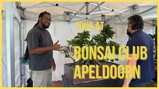 Bonsai vereniging Apeldoorn