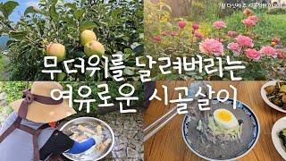 SUB) 무더위를 날리는 여유로운 시골살이 | 시골정원 | vlog | 시골집 | 주말농장 |힐링 | Korean Countryside life |