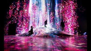 teamLab Borderless - Tokyo, Japan