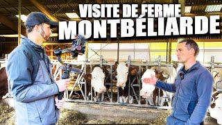 VISITE D'UNE FERME LAITIERE ! EN CHARTREUSE - VACHE MONTBELIARDE