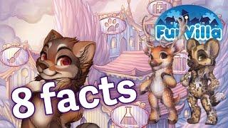 FurVilla: 8 Game Facts