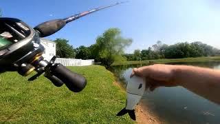 NEW $18 bass pro glide bait action  (actually works well)