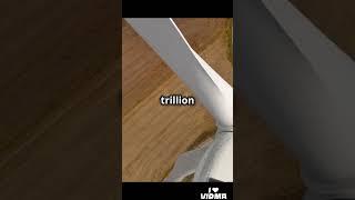 10 Mind-Blowing Facts You Didn't Know! #facts #amazingfacts #amazing #new #awesome #animals