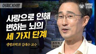 김대수 교수 #07 | 사랑은 욕정에서 그냥 정으로? 전문가가 말하는 사랑의 과학적인 모든 것 | #어쩌다어른 #사피엔스 | CJ ENM 160901 방송