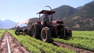 Why Farming? | Fountainview Academy