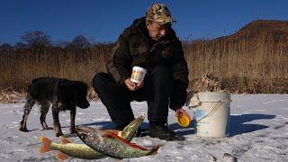 Winter minnow. Fishing on the rivers of Primorsky Krai. Winter ice fishing.