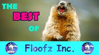 The Best of Floofz Inc. Last 30 Videos I Part 7!