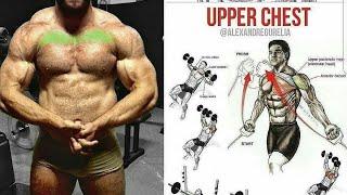 4 chest exercises #muscle hub gym