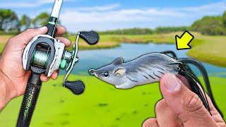 Topwater Rat ONLY Day of Bass Fishing! (BIG BASS)