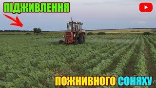 ПІДЖИВЛЕННЯ ПОЖНИВНОГО СОНЯШНИКУ ПО ЛИСТКУ | ПІДВИЩУЄМО ВРОЖАЙНІСТЬ СОНЯХУ "СТАРМАКС ГОЛД"  04.08.21