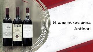 Итальянские вина Antinori