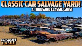 HUGE CLASSIC CAR JUNK YARD!!! A THOUSAND CLASSIC CARS!! Classic Car Salvage Yard. Junk Town USA 2024