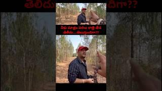 హంసీని విగ్రహం కి ఉన్న మాయ అలాంటిది...నీకు మాత్రం ఇప్పటి నుండి #hamsini #latestTelugu #thriller